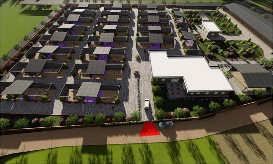 Menemen’deki sokak hayvanları sorunu çözülüyor: 