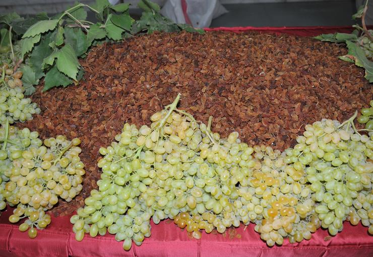 Üretici ve ihracatçı el ele Türk üzümünü zirveye taşıdı