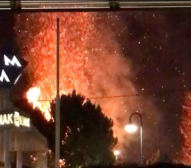 Konak'ta akılalmaz saldırı: Ağaçları yaktılar!