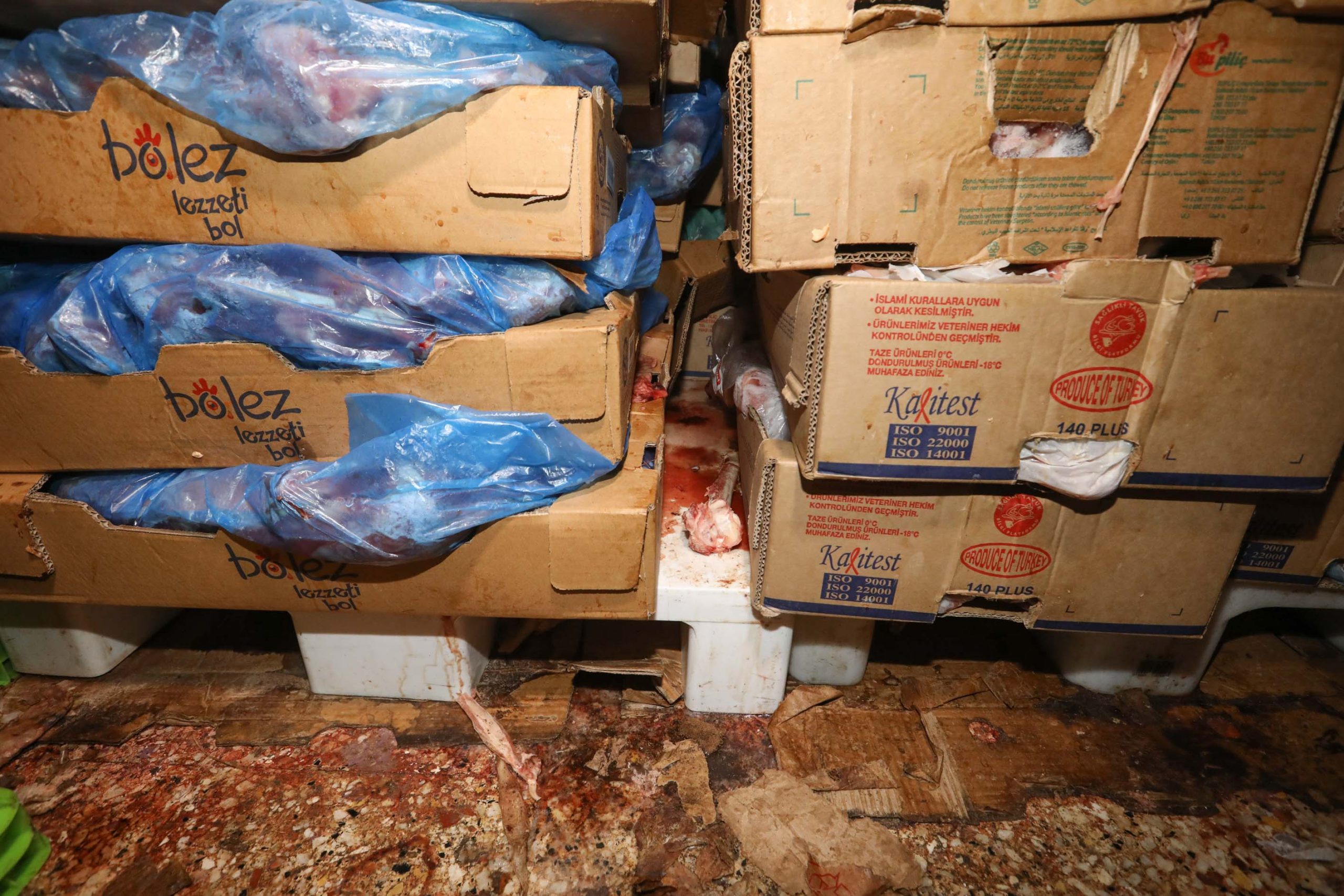 Buca zabıtasından ‘korku filmi’ gibi döner baskını!