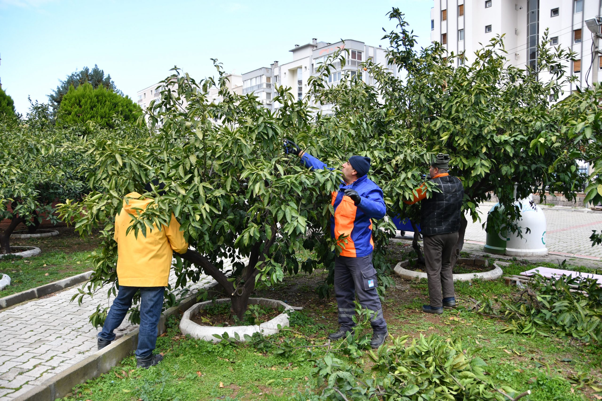 Hedef daha yeşil Narlıdere