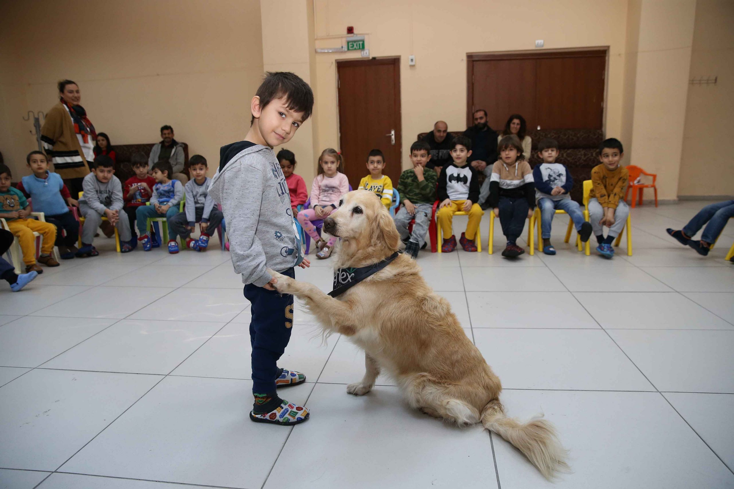 Sevimli köpekler Karşıyakalı miniklere hayvan sevgisi aşılıyor