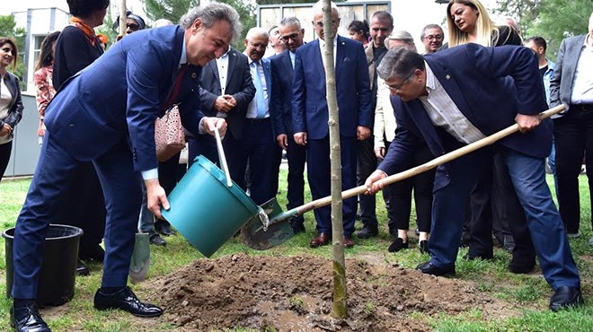 Bornova'nın sokakları ıhlamur kokacak