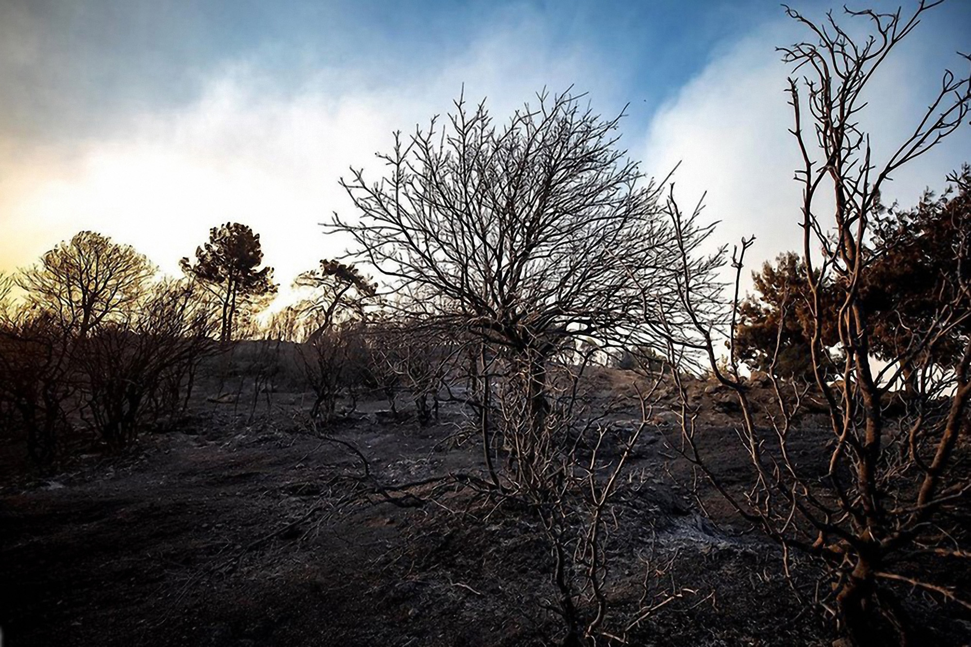 Bir yılda 11 bin 145 yangın: Başrolde sigara!
