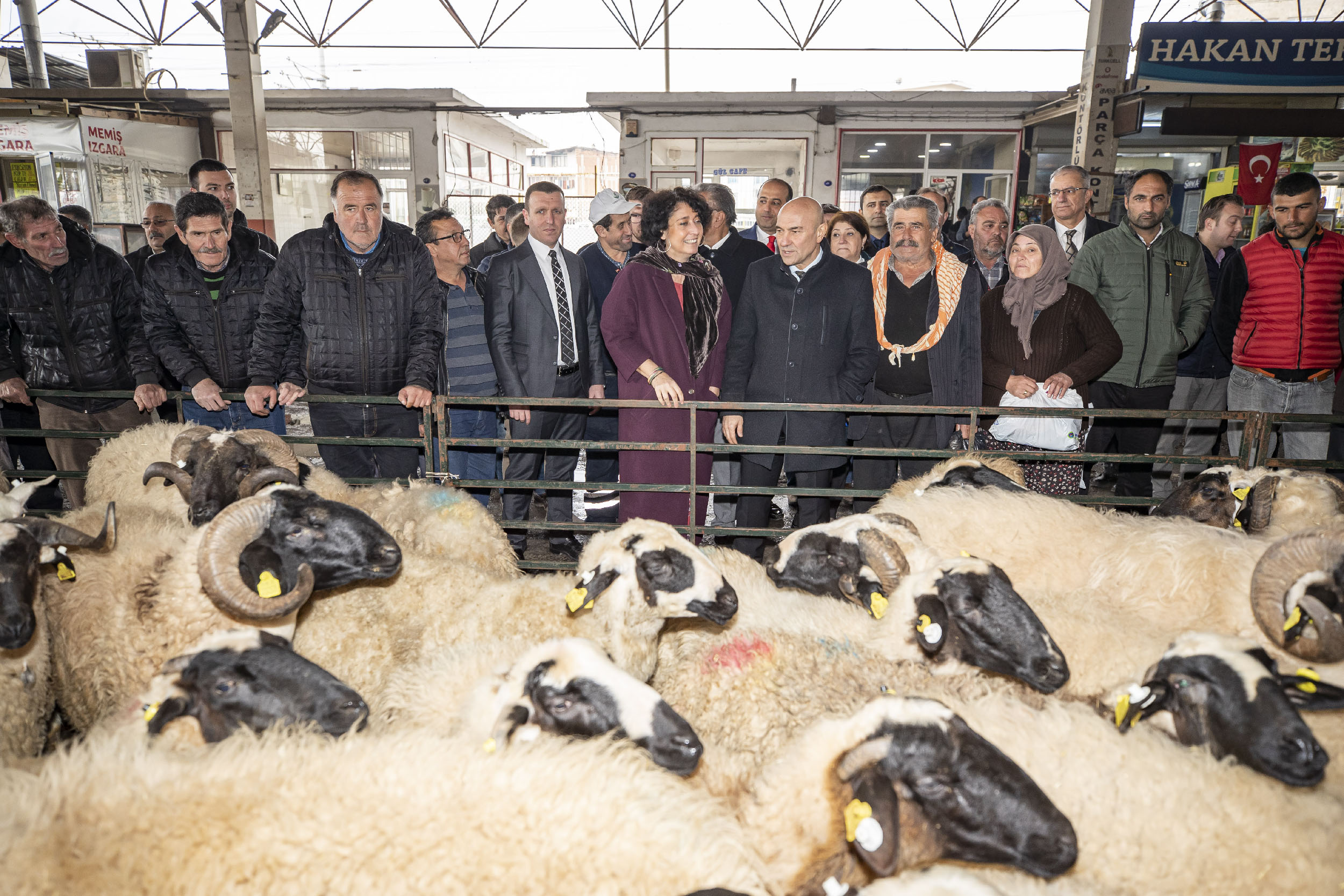 Büyükşehir'den Torbalılı çiftçilere destek: 173 hayvan dağıtıldı!