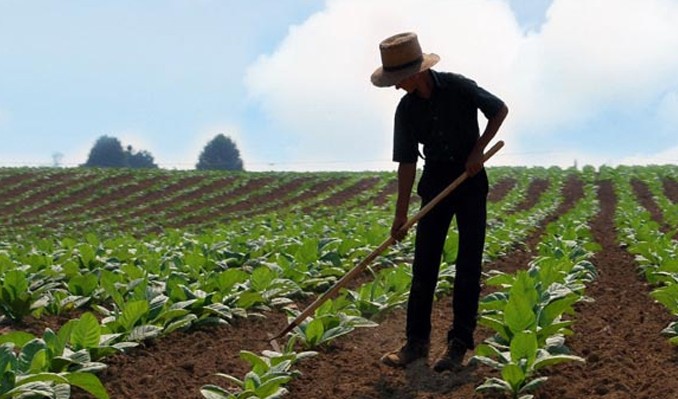 İşçi, esnaf, çiftçi sayısı azaldı