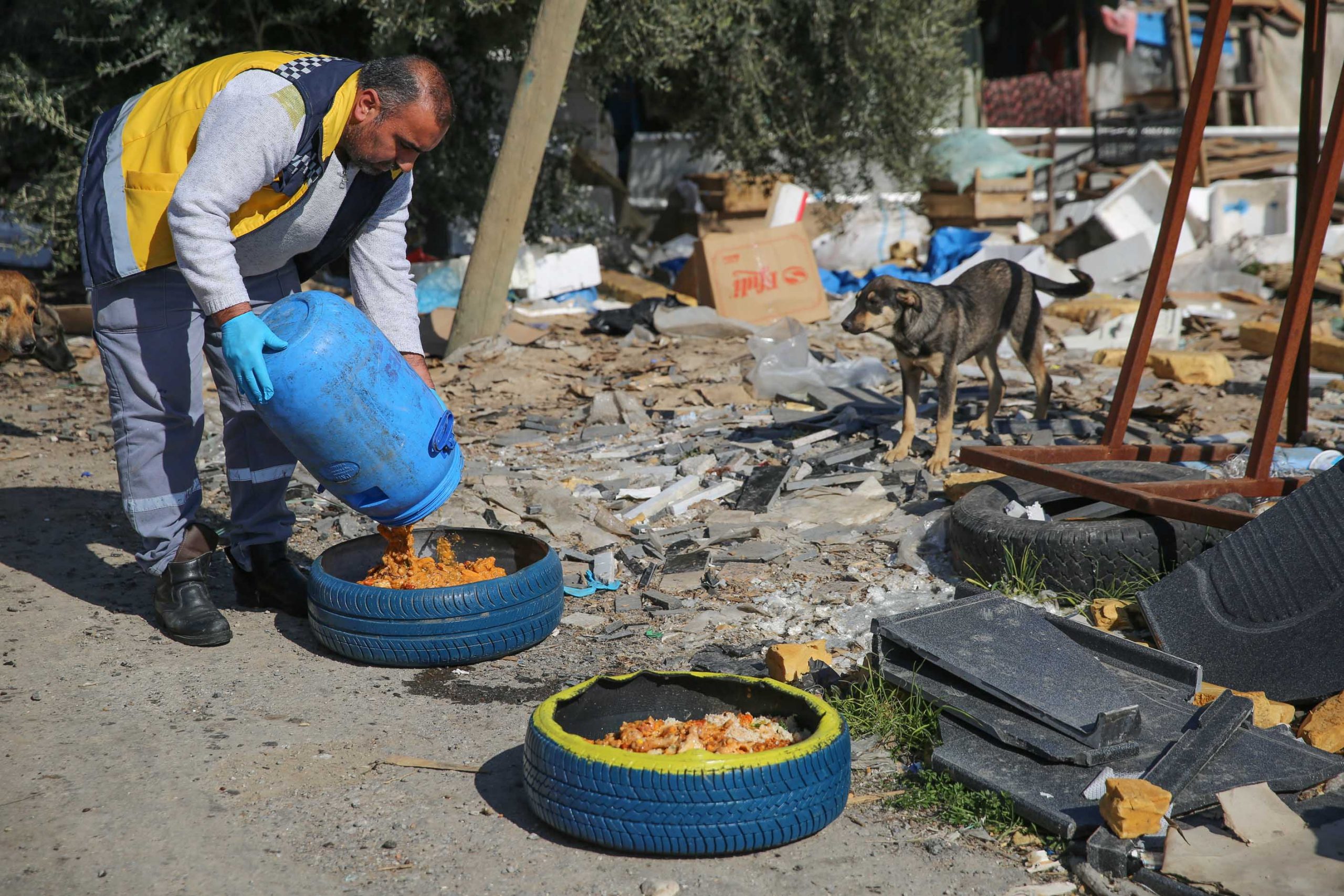 Buca'da geri dönüşüm seferberliği! Yenilenen tekerlekler can dostlara mama kabı oldu