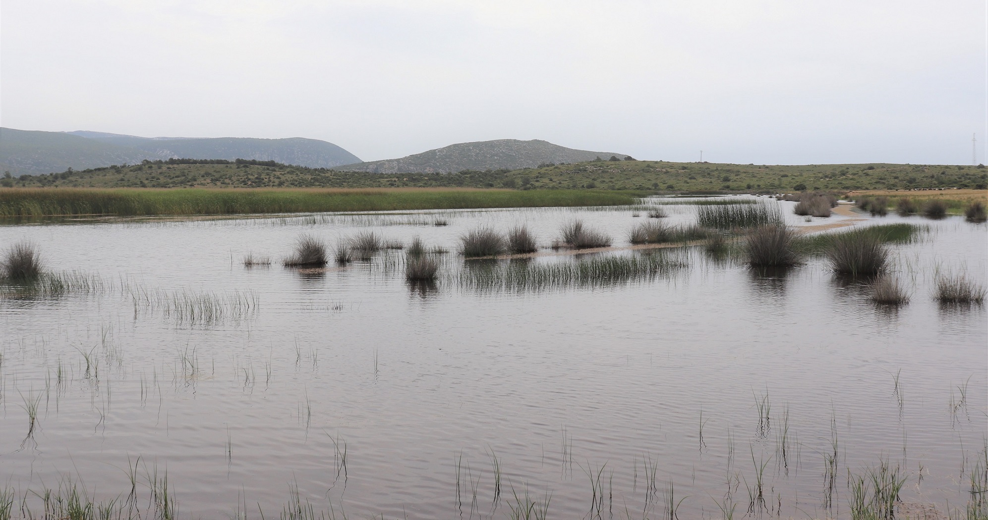İris Gölü’nün kaderini belirleyecek komisyonda herkes var, sahibi yok!