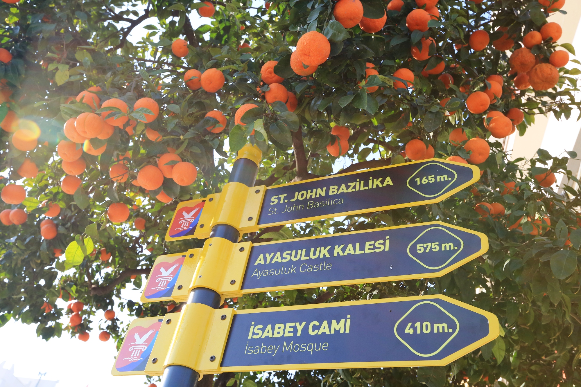 Efes Selçuk'ta modern görünüm! Yön tabelalarında devrim