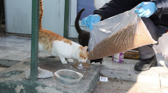 Gaziemir Belediyesi’nden can dostlar için örnek uygulama