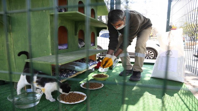 Karşıyaka Belediyesi’nden can dostlara yardım eli