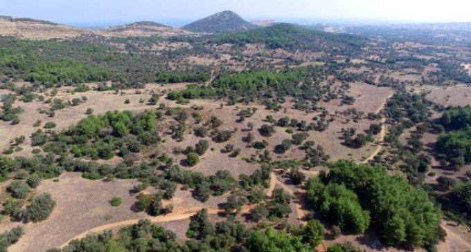 ‘Olivelo İzmir’ yarışmasının sonuçları açıklandı: İşte kazananlar ve ödüller