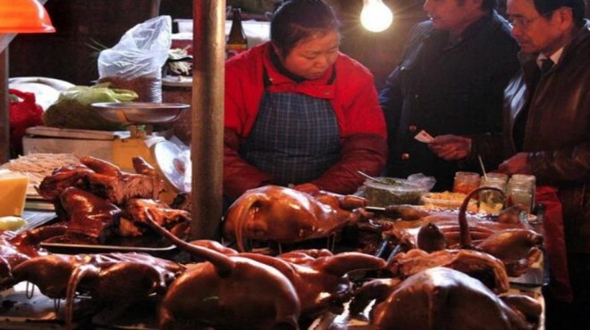 Çin'de hayat eskiye dönüyor, 'Vahşi hayvan pazarları'nda yarasa satışı başladı bile