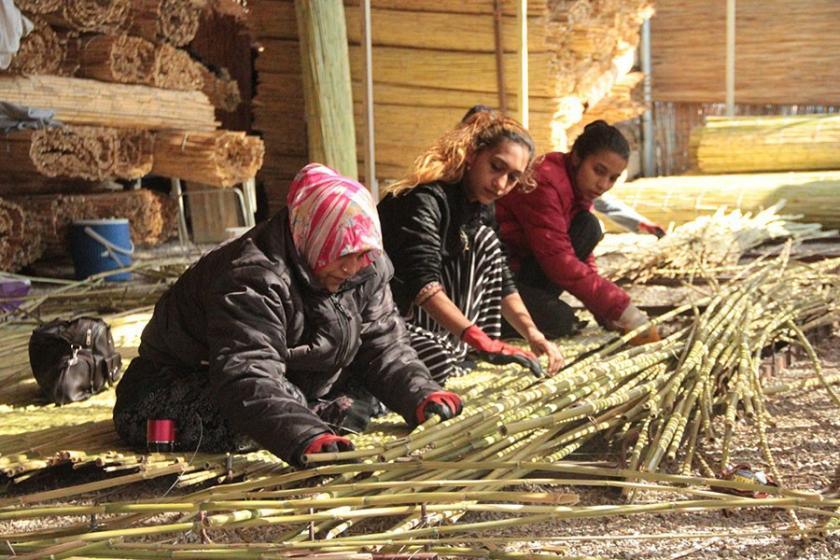 Romanlar'a korona ayıbı: Siz zaten virüslüsünüz dediler...