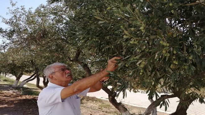 Beko: Tarıma destek verilmemesi dehşet tablosudur!