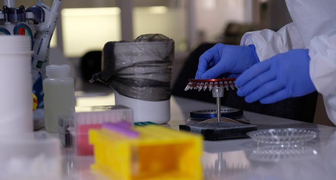 Bağışıklık sisteminin gücünü test etmek mümkün mü? Bağışıklığınız ne kadar güçlü?