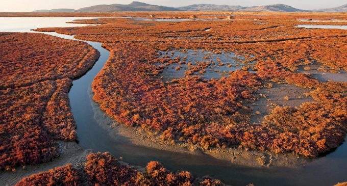 Acele Kamulaştırma'yla başladı, yönetmelik değişti: İzmir'in Doğal Sit Alanları rant tehdidi altında