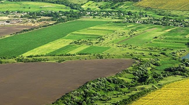 Bakanlık açıkladı: Hazine arazileri tarıma açılıyor