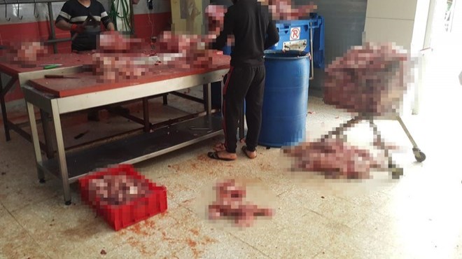 Sağlıkta büyük tehlike! 'Virüse iyi geliyor' yalanıyla İzmir'e gönderilen kaçak sakatatlar ele geçirildi!