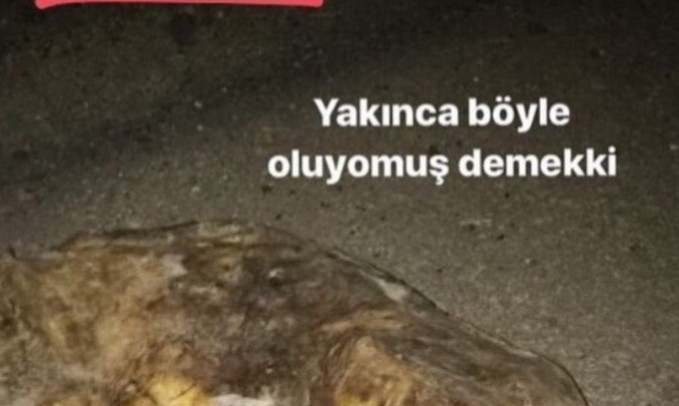 Türkiye İzmirli psikopat genci konuşuyor. Yaptıkları dehşet verici