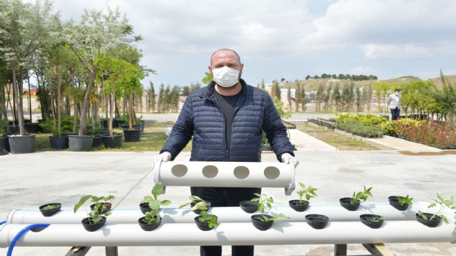 Çiğli'de balkon tarımına fideler belediyeden!