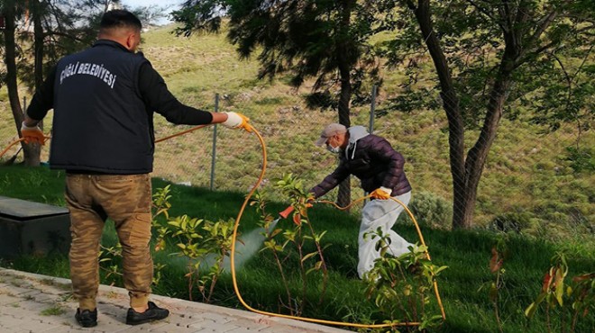 Çiğli parklarında çim ve bitkilere özel bakım
