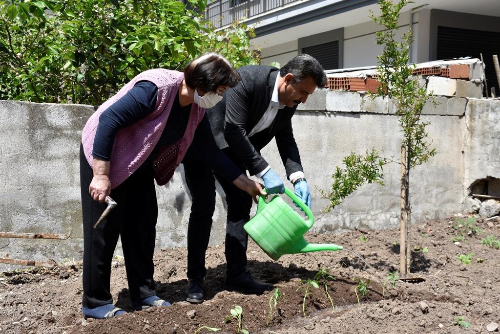 Dikili yüzünü tekrar tarıma döndü! Başkan Kırgöz'den vatandaşa 20 bin fide