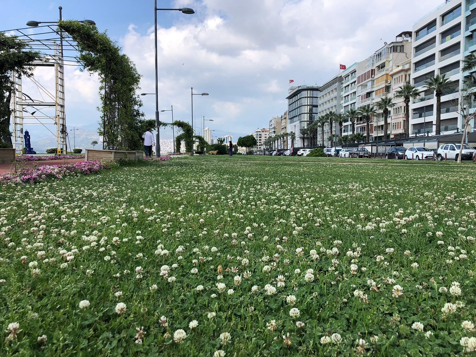 Kordon bu bahar çiçek açtı
