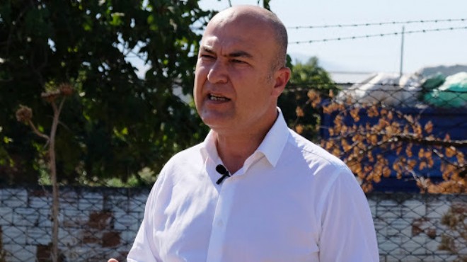 CHP'li Bakan'dan hükümete 'turşu' çağrısı: Eylem planı gerekli