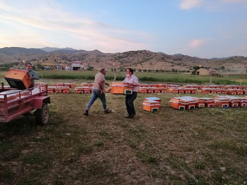 Büyükşehir'den arıcılığa büyük destek! 2020’nin ilk kovanları dağıtıldı  