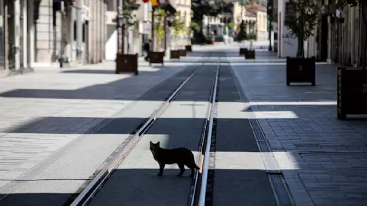  2 günlük yasaklar faydalı oluyor mu?