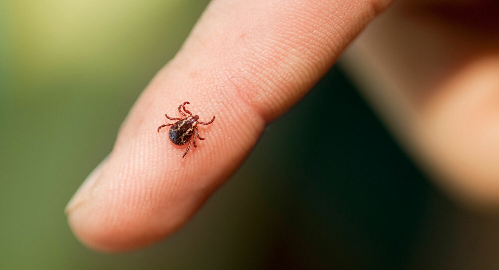 Sağlık Bakanlığı keneden ölenlerin sayısını açıkladı