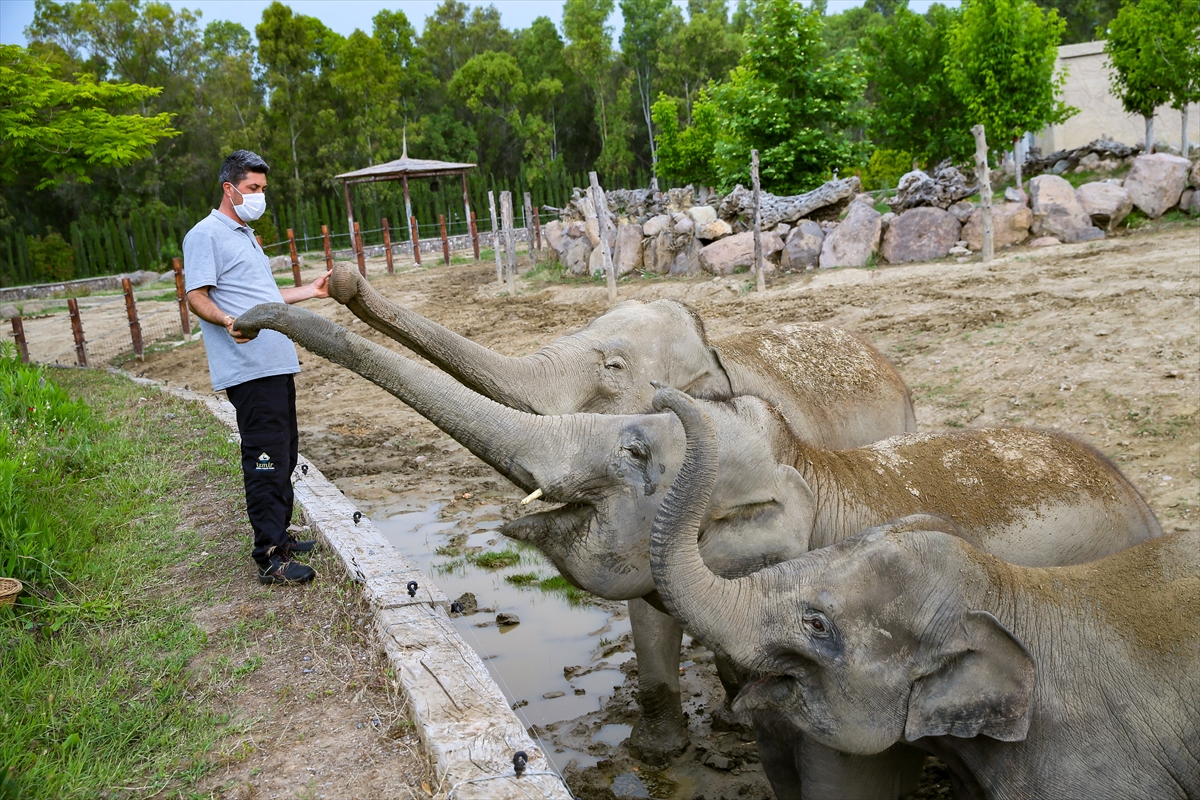 Doğal Yaşam Parkı'nda gülümseten dostluklar
