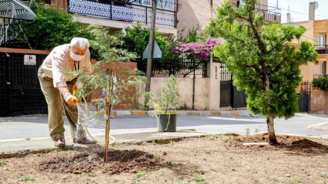 Çeyrek asırlık doğa sevdalısı Sami Amca'nın adı ölümsüzleşti!