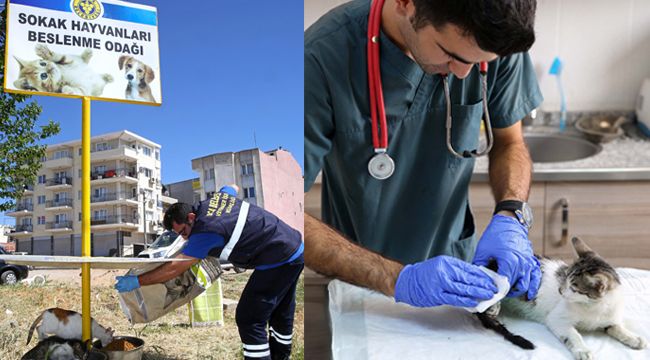 Buca Belediyesi 1 yılda 8 bin hayvana kucak açtı