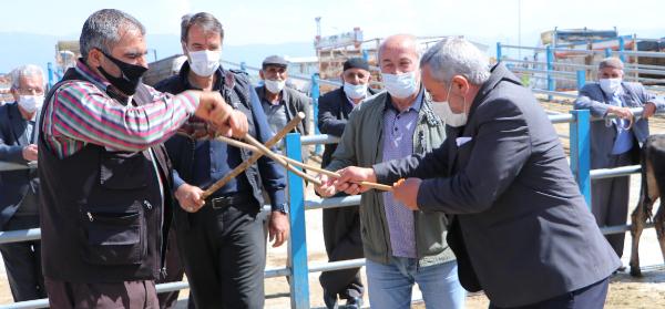 Hayvan pazarında 'sopalı pazarlık' dönemi