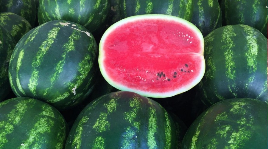 Karpuzda o devir artık sona erdi