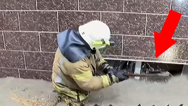 Esenyurt'ta kurtarma operasyonu