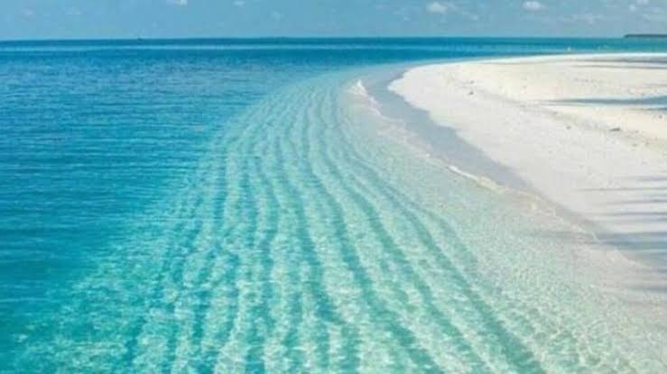 Normalleşme başladı, Salda'da şantiye kuruldu.