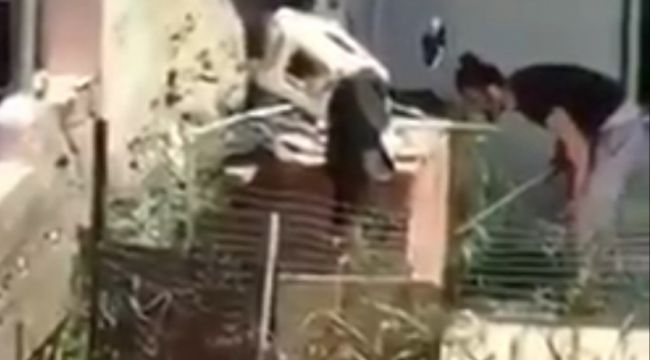 İzmir'de tepki çeken görüntü, köpeğe sokak ortasında eziyet etti