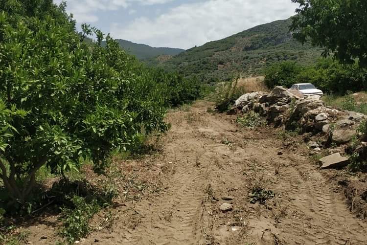 Kılıçdaroğlu'nun talimatı unutuldu. Belevi'nin bağları Roman Köy kurbanı