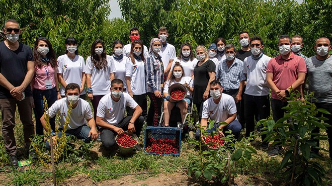 İzmir Büyükşehir'in çağrısı karşılık buldu: 95 üreticinin hasadı yapıldı