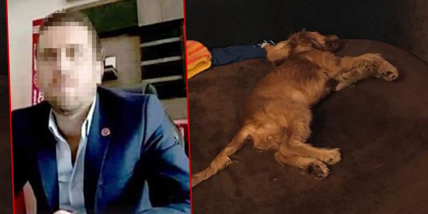 Köpeğe tecavüz ederek ölümüne neden olan erkek serbest bırakıldı
