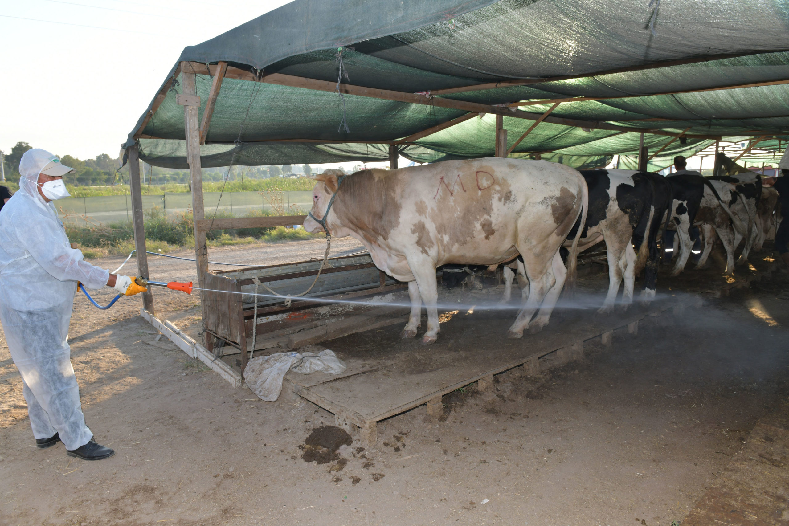 Çiğli’de Hayvan Pazarları dezenfekte edildi!