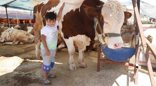 Bayraklı Kurban Bayramı'na hazır!