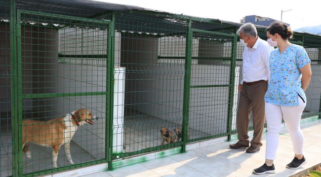 Güzelbahçe'de satın alma sahiplen vurgusu! Can dostlara yeni yuva!