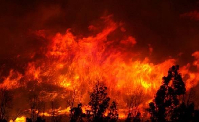 Güzel İzmir'in derin yarası: Türkiye'de çıkan yangınların neredeyse yarısı İzmir'de!