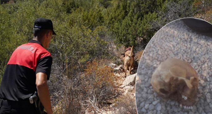 Görenler inanamadı! Köpeğin getirdiği insan kafatası polisi alarma geçirdi