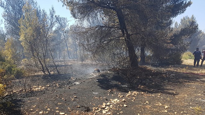 İzmir'deki orman yangınında kaynakçıya gözaltı!