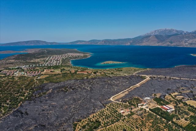 Çeşme yangınında 150-200 hektar alan kül oldu. İşte kahreden görüntüler!